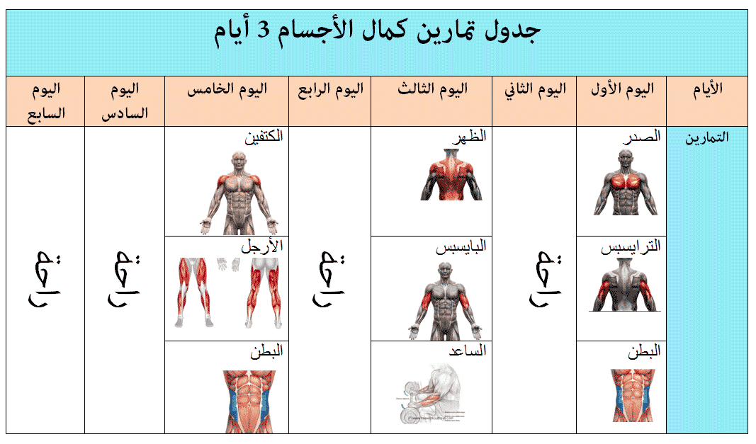 برنامج كمال اجسام - جدول تدريب لياقه بدنيه 319 3