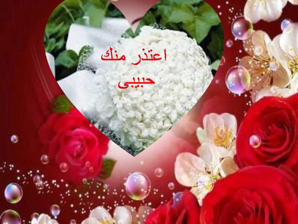 صور اعتذار للحبيب 6675 1