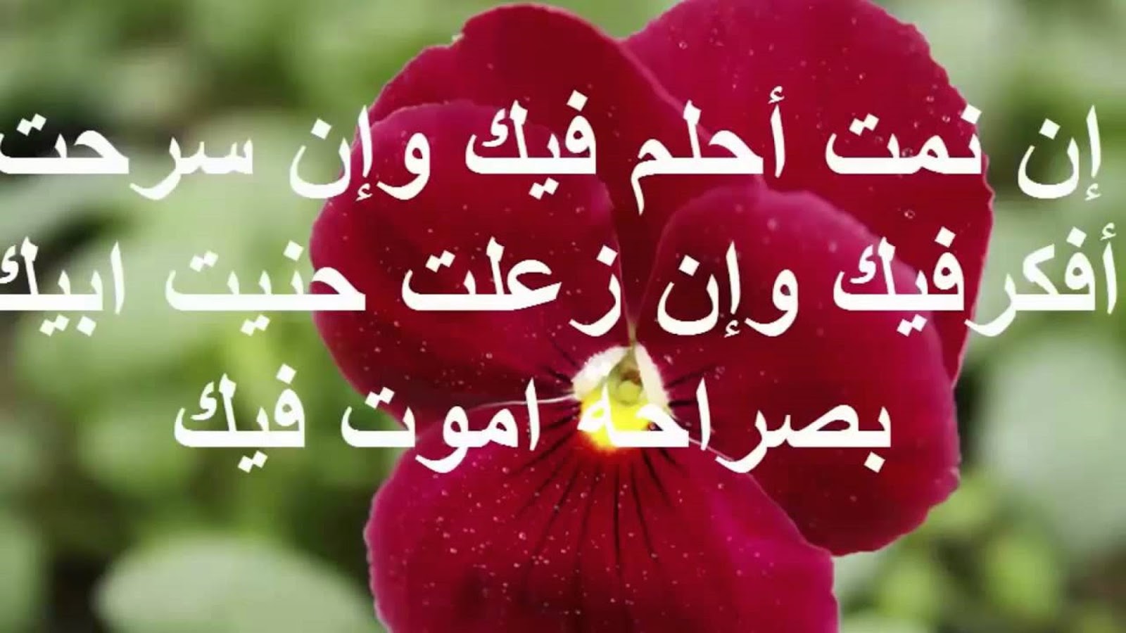 رسائل حب وعشق - اجمل رسالة حب وغرام 4890 3