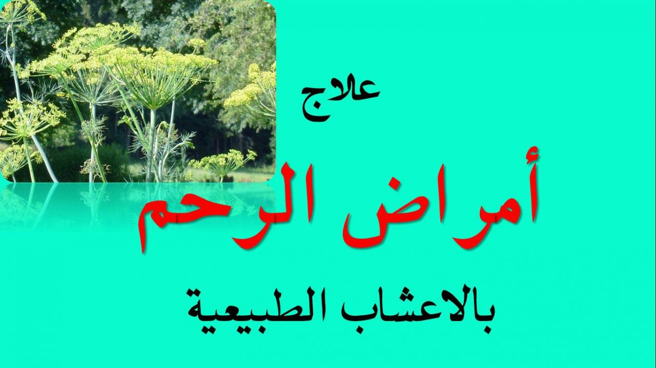 وجود كيس في الرحم - اسباب وجود كيس فى الرحم 10074 8