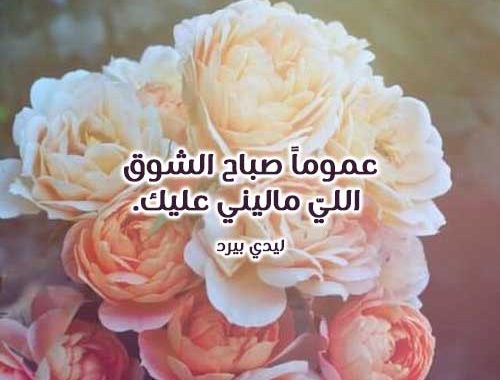 صباح الحب والشوق 5526 1