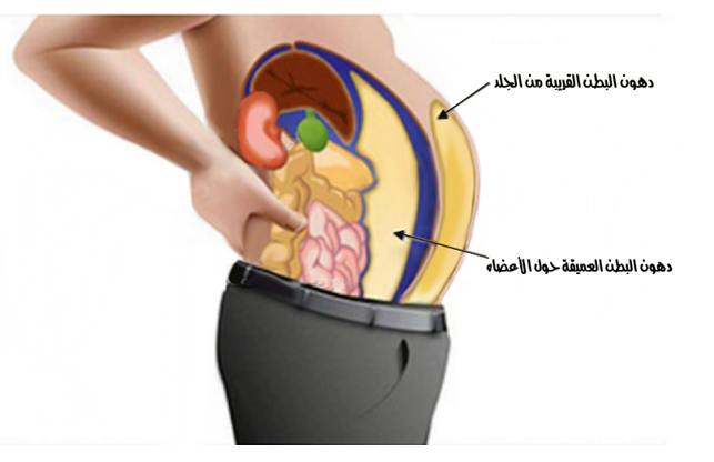 تخفيف الكرش - طرق ووسائل هامه للتخلص من دهون البطن 601