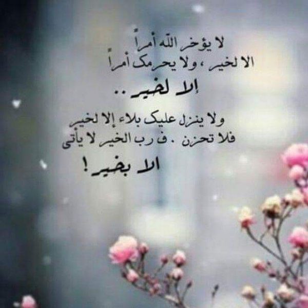 صور منوعه جديده 1400 9