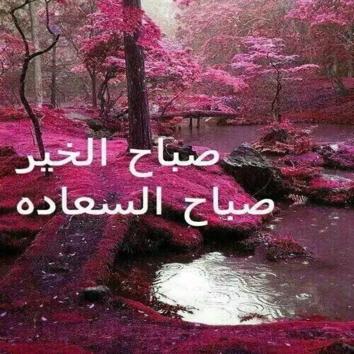 صور متحركه صباح الخير 6654