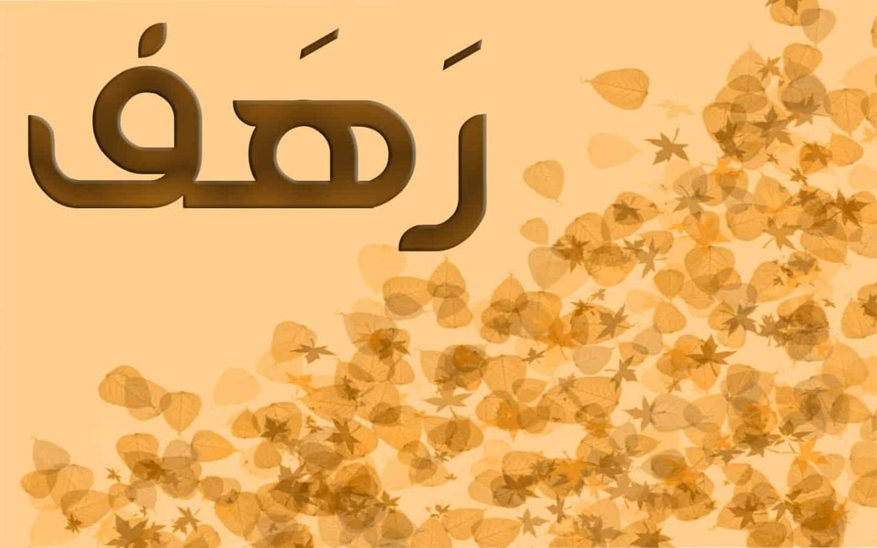 معنى اسم رهف 1672