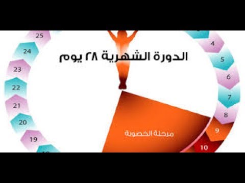 افضل وقت للحمل - الوقت المناسب للحمل 2451 1