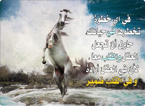 صور عن عزة النفس - عبارات مؤثره عن الكرامه 2809 9