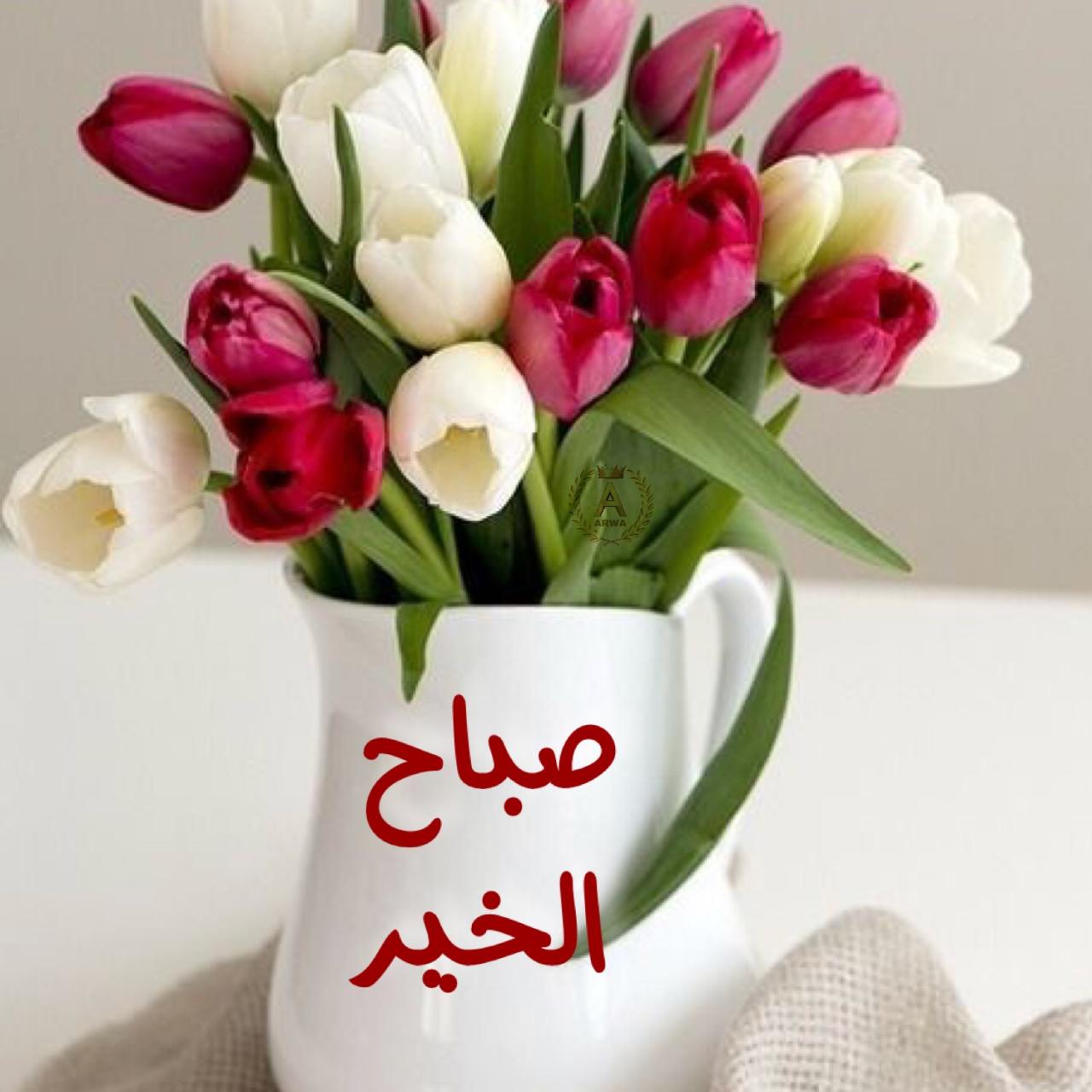 صباح الخير والورد - رسائل صباحية خطيرة كلها حب 10239 13