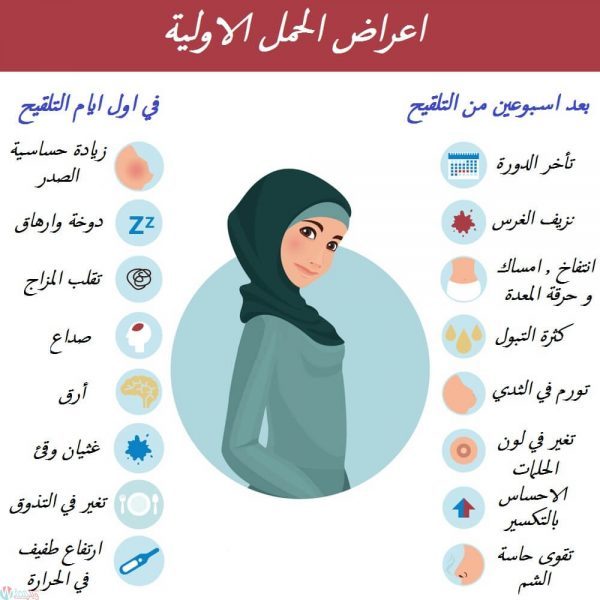 اول علامات الحمل , كيفية التفرقه بين أعراض الحمل والحيض