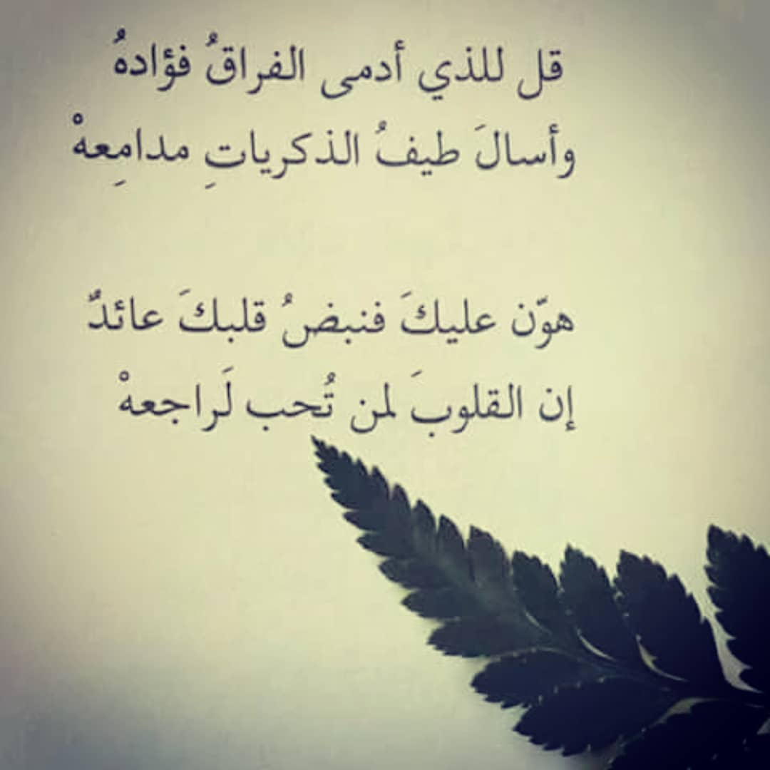 شعر خالد الفيصل 1566 11