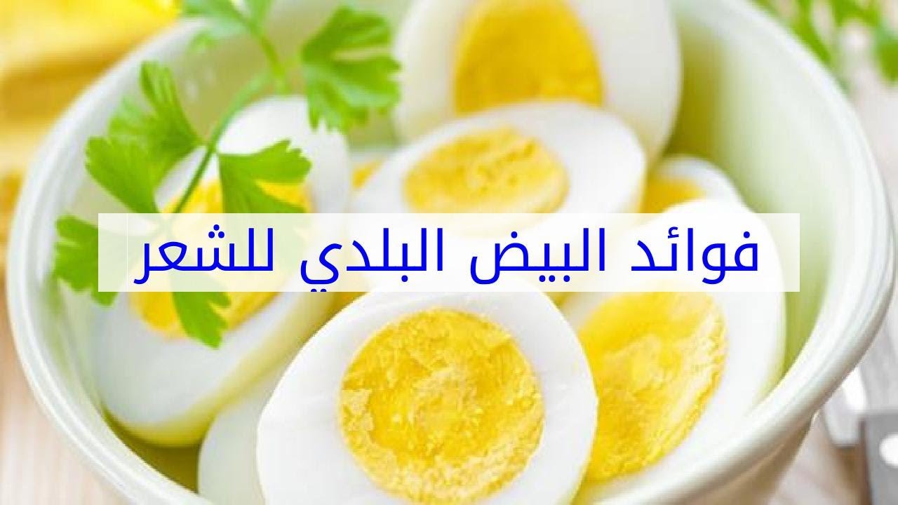 فوائد البيض البلدي 10704 2