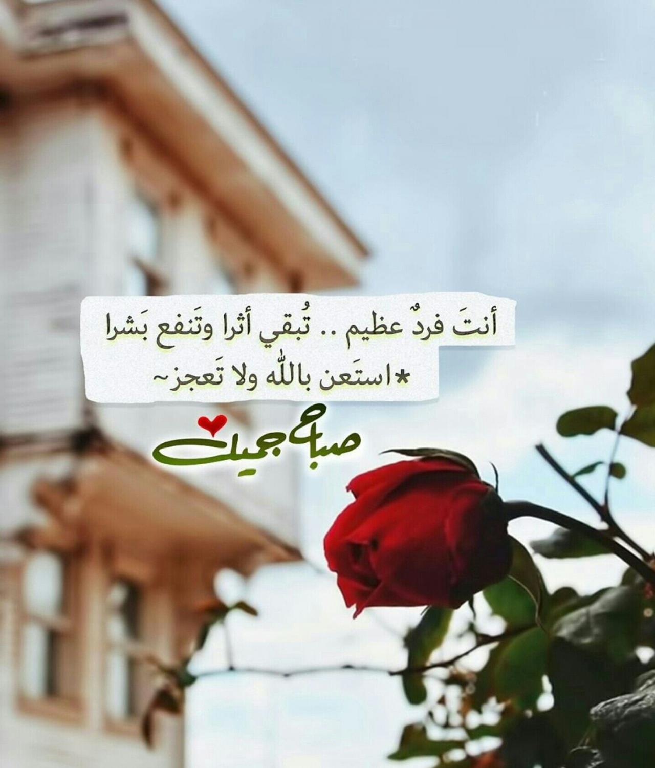 كلمات شعر صباح الخير 10988 9