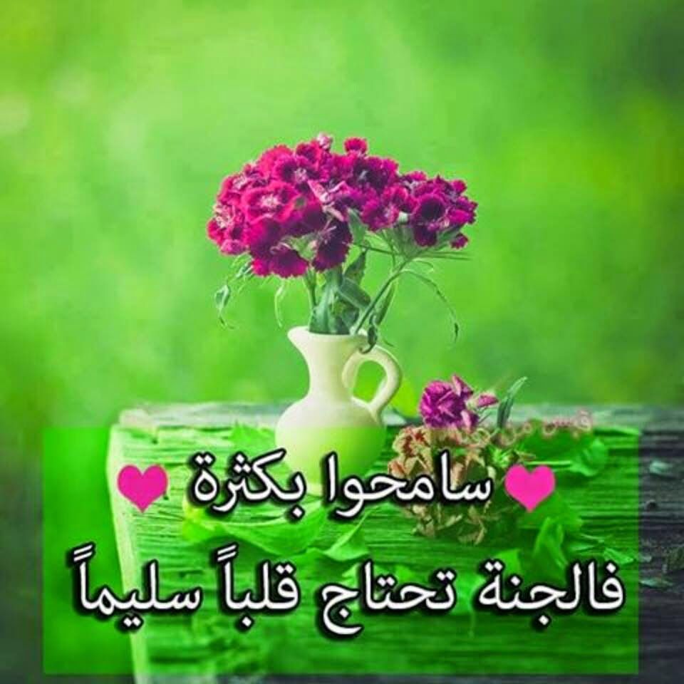 صور جميلة لتحميل 10691 12