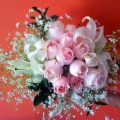 2389 12 ورود الحب - اجمل الورود للحب خاطرة نسيم