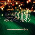 2430 8 صور لليوم الوطني - اجمل صور عن اليوم الوطني في السعودية خاطرة نسيم