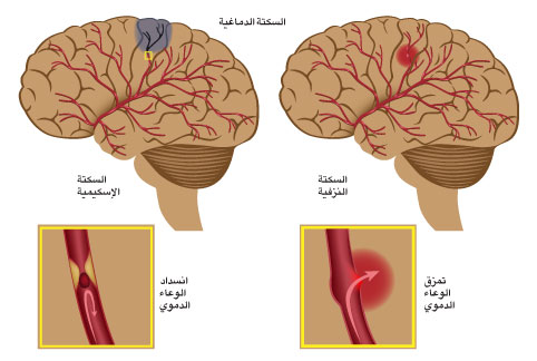 حقائق علمية , حقائث مؤكدة غريبه عن الانسان و العالم