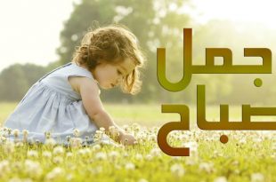3631 14 خلفيات صباح الخير - كلمات بسيطه تحمل اجمل معانى الصباح رائفة غزلان