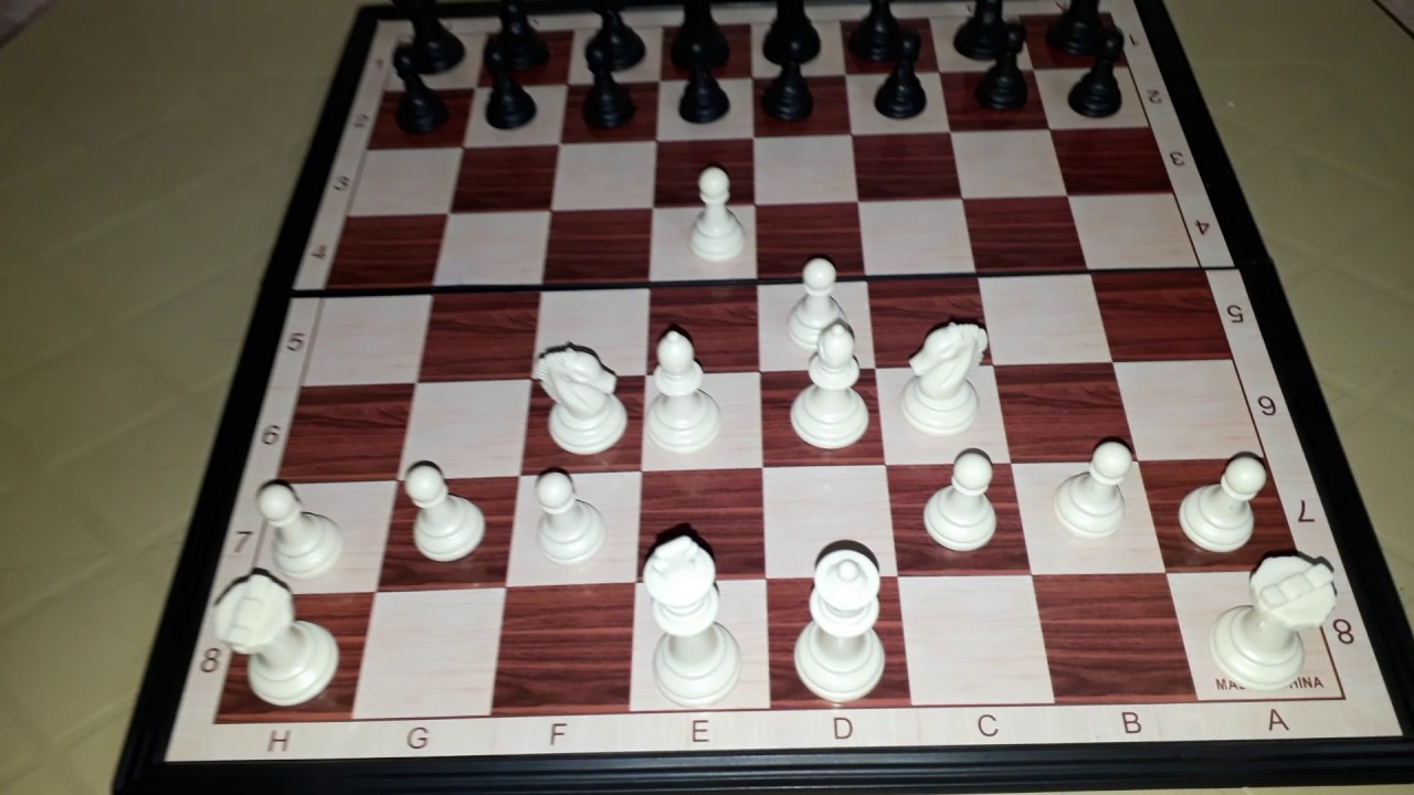 كيف تلعب الشطرنج , طريقة لعب الشطرنج - هل تعلم