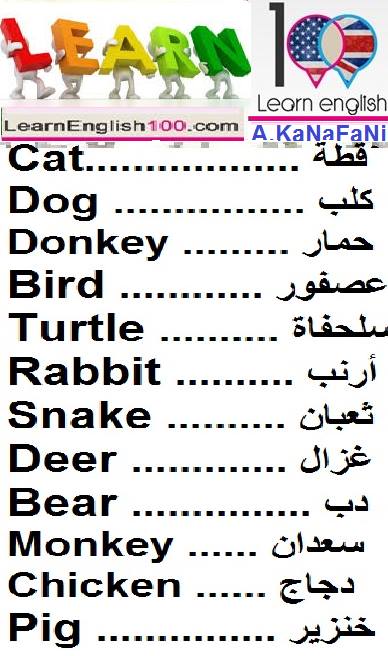 كلمة بالانجليزي ومعناها بالعربي , كلمات وترجمتها بالصور