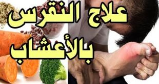6226 5 علاج النقرس بالاعشاب - النقرس والجديد في علاجه واكتشافات الطب البديل خالد مجدي