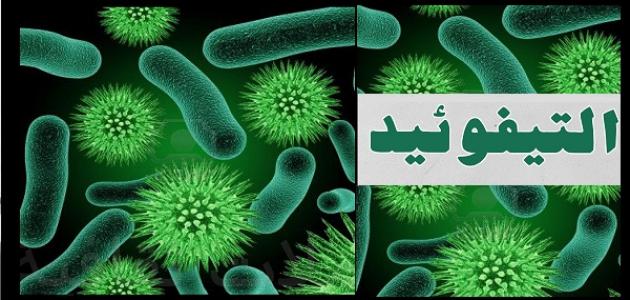 مرض التيفوئيد , معلومات هامة جدا عن التيفوئيد تعرف عليها