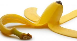 18156 1 ما هي استخدامات قشرة الموز ، أبرز إستخداماته خاطرة نسيم
