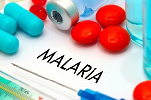 18558 1 علاج مرض الملاريا ، علاجه والوقاية منه خاطرة نسيم