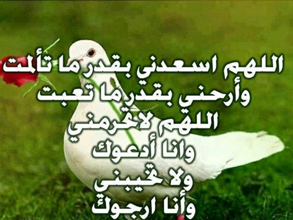 تحميل ادعية , افضل واجمل الادعيه الدينيه